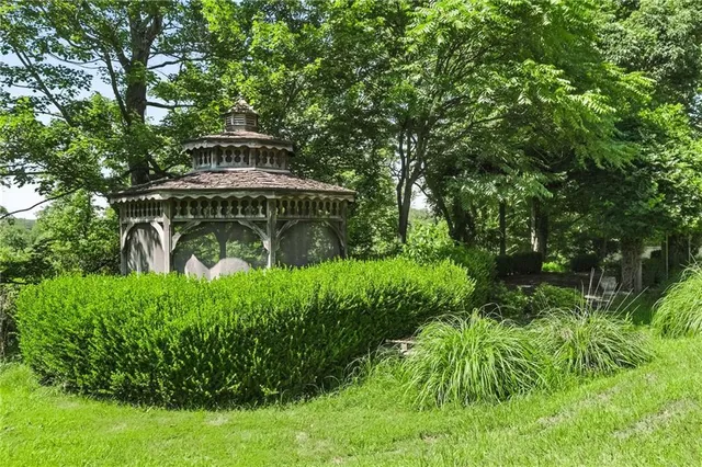 a view of a garden with plants