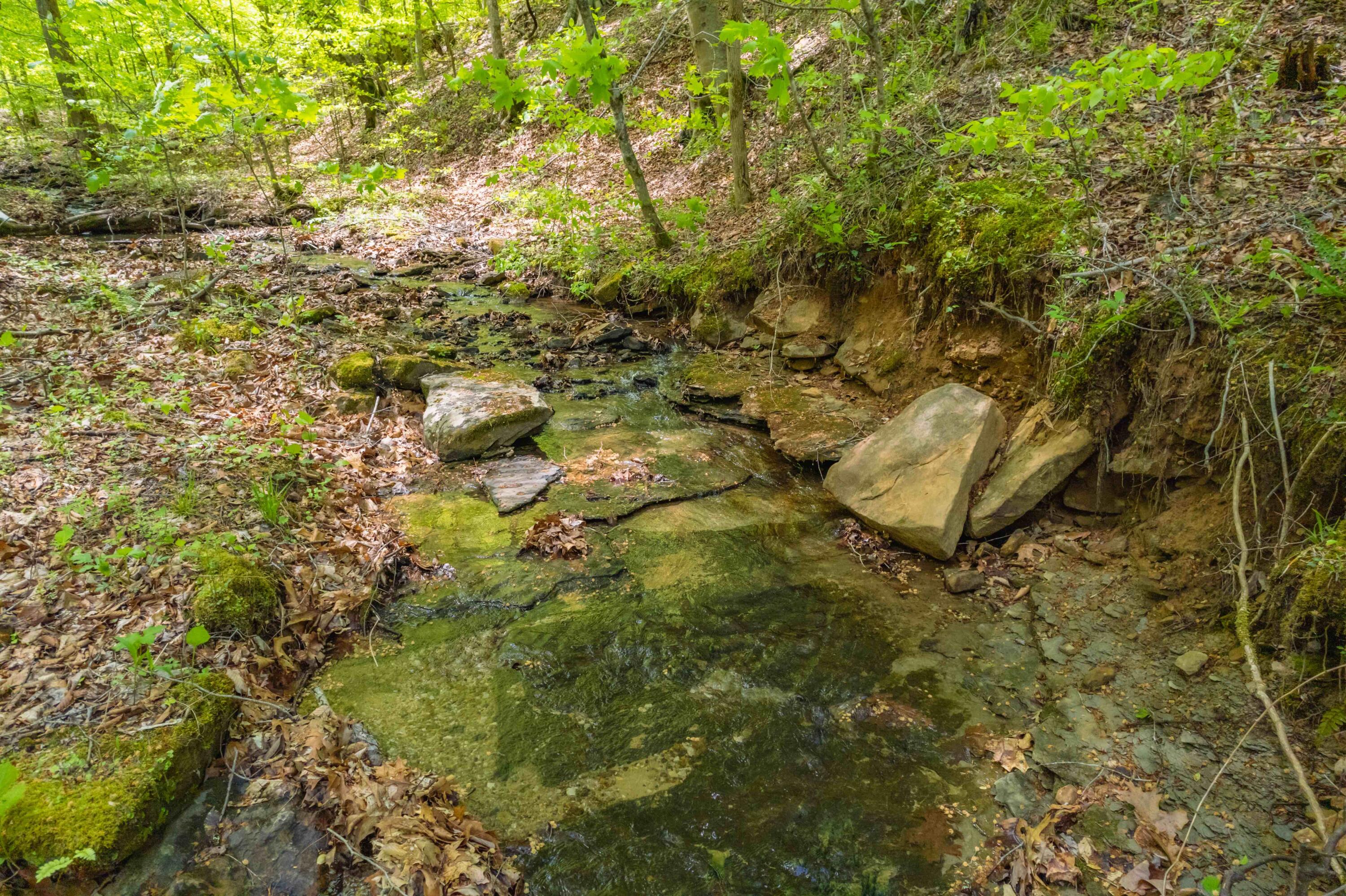 395 Cedar Point Ridge Road McKee, KY 40447 - Photo 10 of 31 DJI_003266