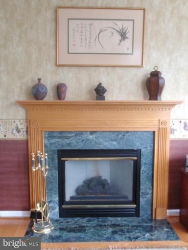 1755 Algonquin Road Frederick, MD 21701 - Photo 13 of 30 Fireplace