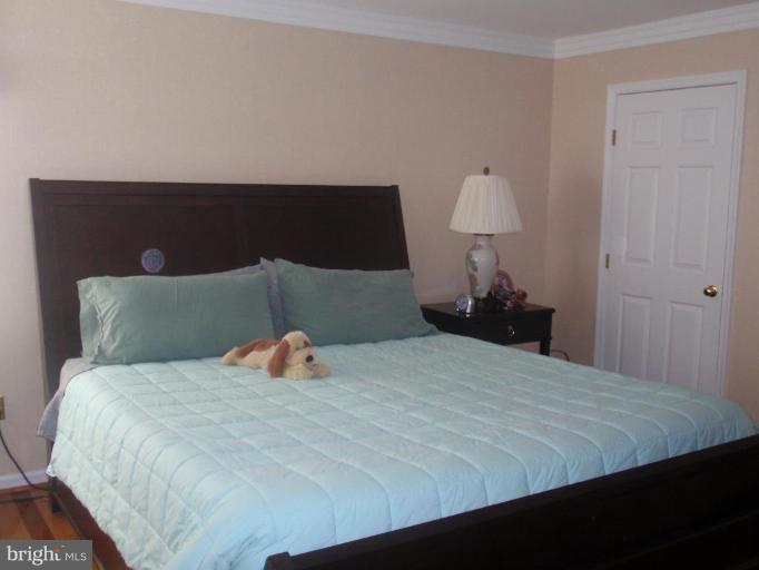 1755 Algonquin Road Frederick, MD 21701 - Photo 19 of 30 Master Bedroom