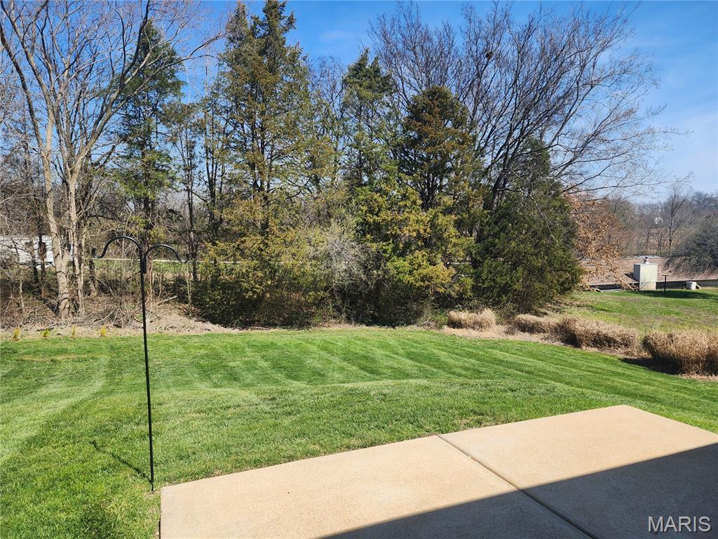 379 Martin Field Court Villa Ridge, MO 63089 - Photo 8 of 8