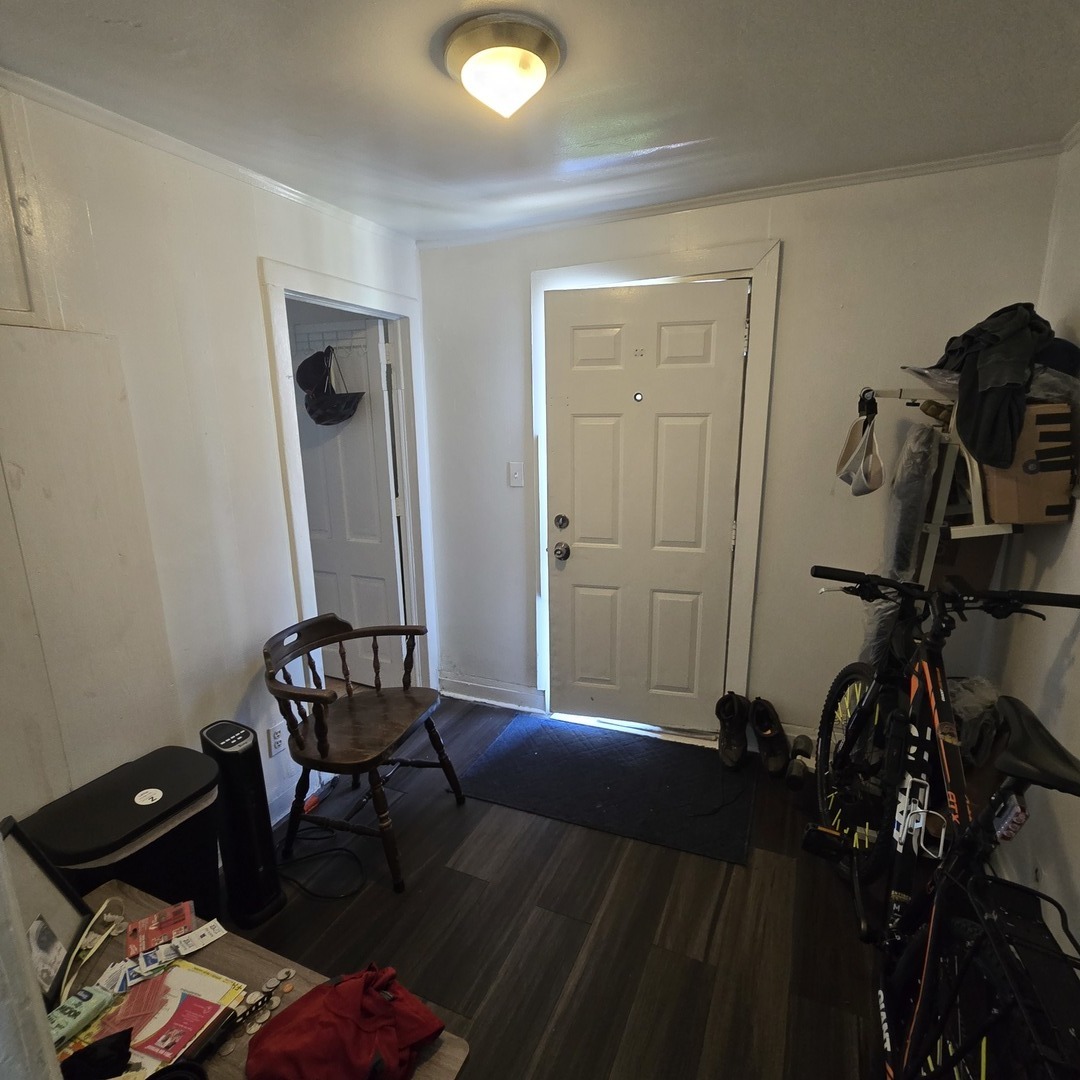 1817 West 21st Street Chicago, IL 60608 - Photo 18 of 19