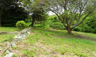 68 Cedar Land Road Orleans, MA 02653 - Photo 18 of 20 a view of backyard with green space