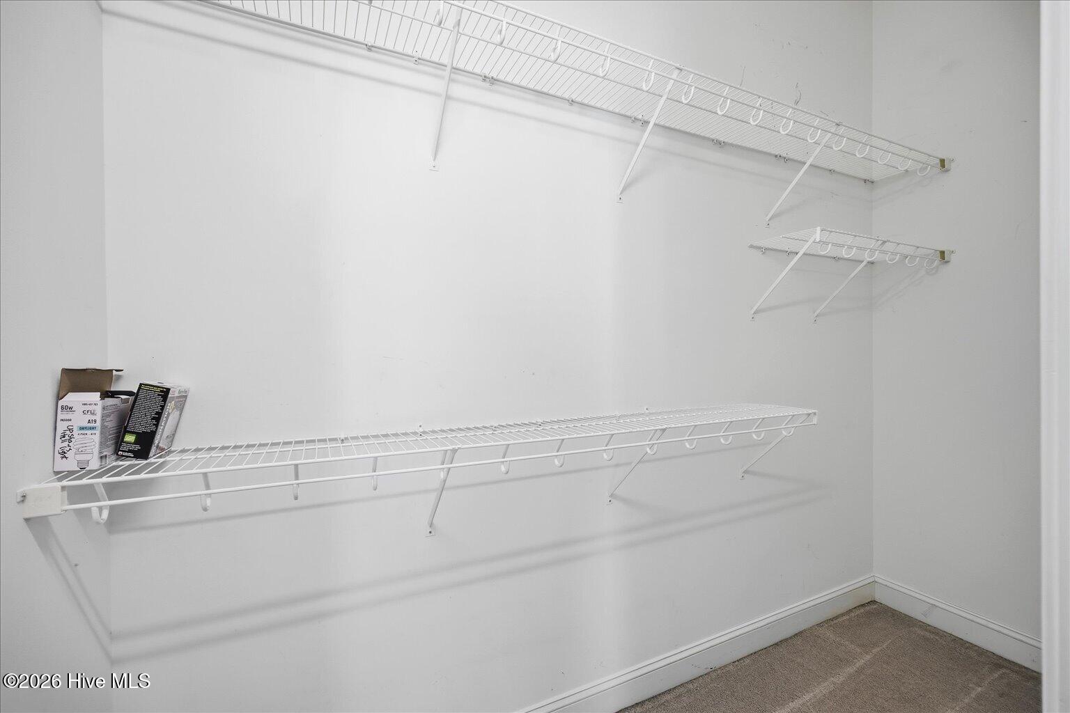 4838 Exton Park Loop Castle Hayne, NC 28429 - Photo 14 of 26 Primary BR Closet