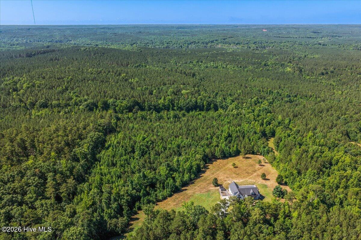 290 Old Chevy Road Moncure, NC 27559 - Photo 13 of 117