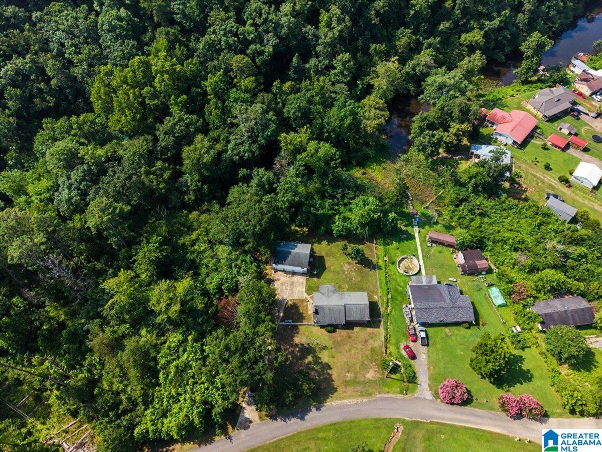449 Rainwood Lodge Road Quinton, AL 35130 - Photo 53 of 53