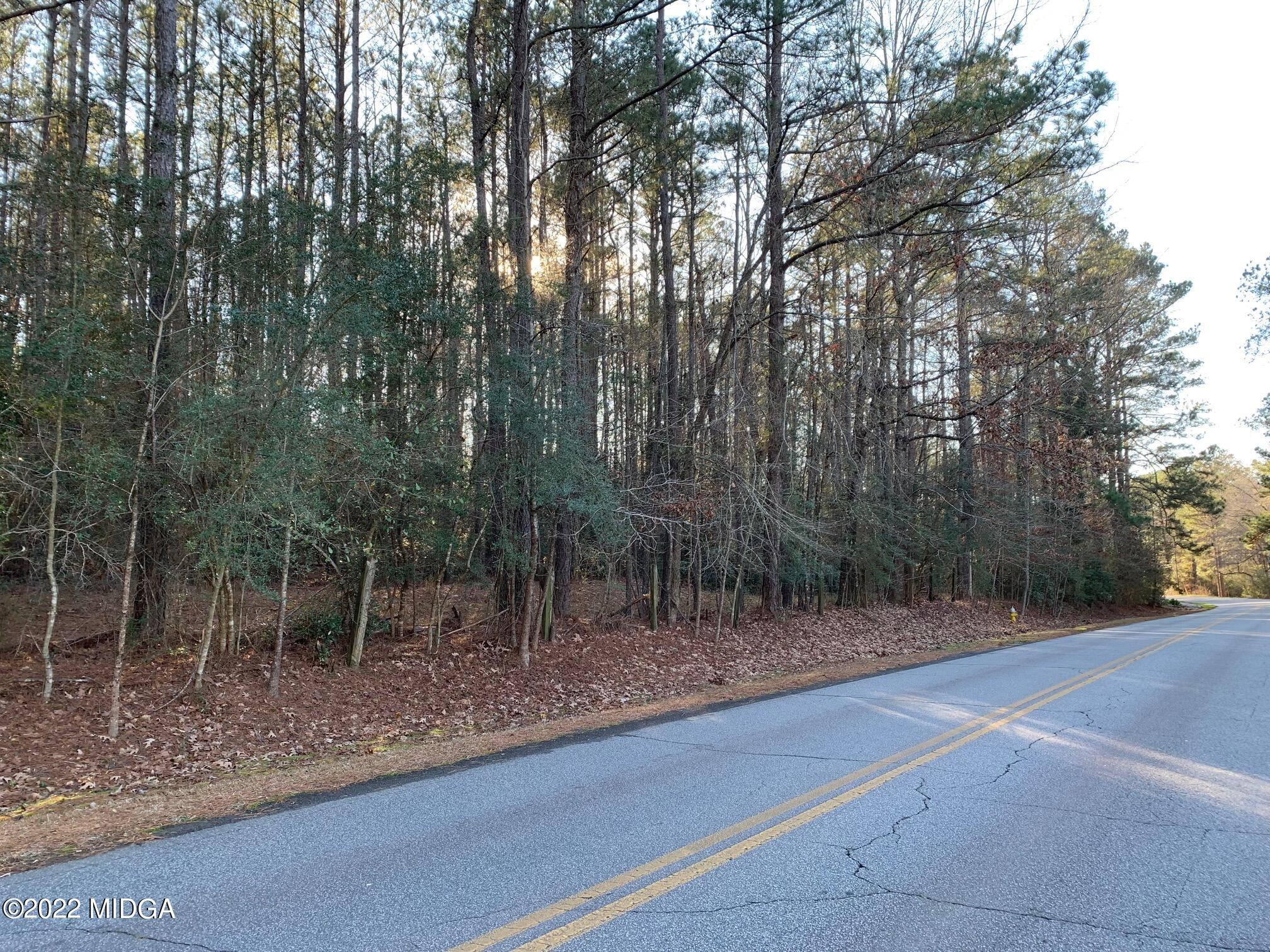 6828 Colaparchee Road Macon, GA 31210 - Photo 3 of 3 a view of a forest filled with trees