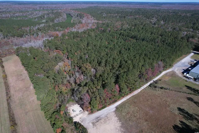 $195,650 | 793 Puncheon Creek Drive, Andrews, SC 29510