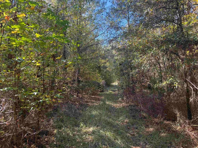 $195,650 | 793 Puncheon Creek Drive, Andrews, SC 29510