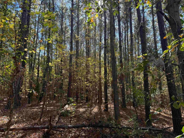 $195,650 | 793 Puncheon Creek Drive, Andrews, SC 29510