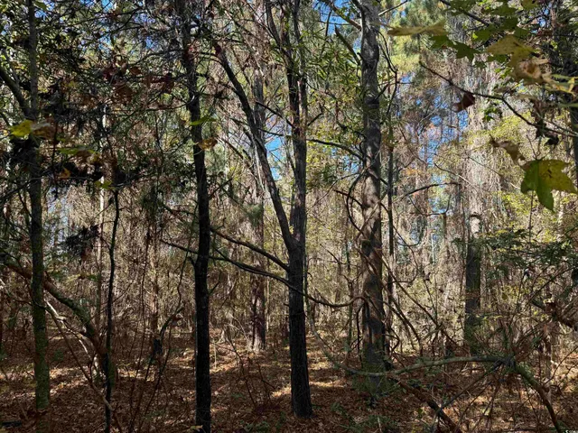 $195,650 | 793 Puncheon Creek Drive, Andrews, SC 29510