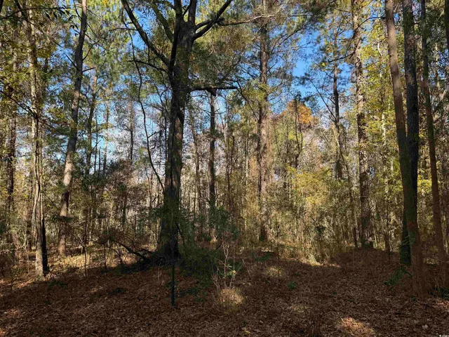 $195,650 | 793 Puncheon Creek Drive, Andrews, SC 29510