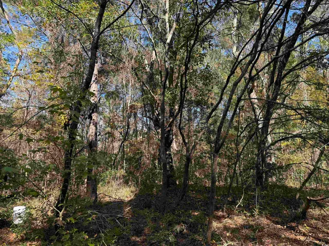 $195,650 | 793 Puncheon Creek Drive, Andrews, SC 29510