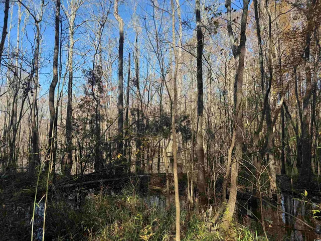 $195,650 | 793 Puncheon Creek Drive, Andrews, SC 29510