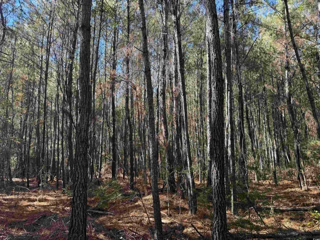 $195,650 | 793 Puncheon Creek Drive, Andrews, SC 29510