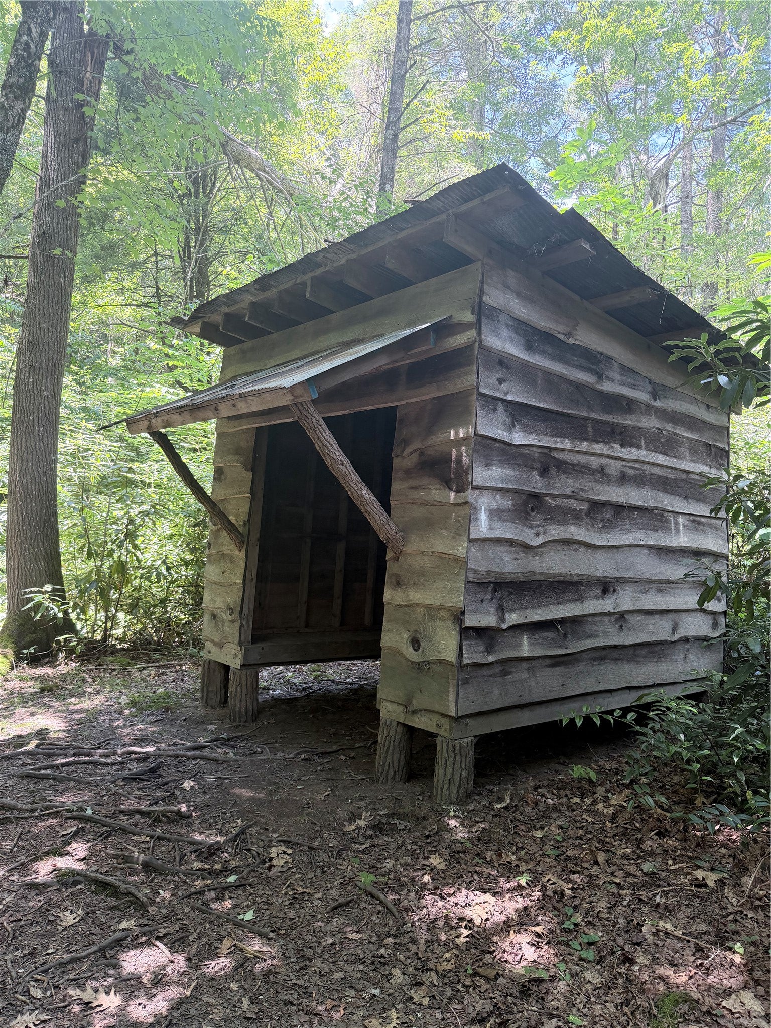 40 Roaming Road Glenville, NC 28736 - Photo 23 of 28 Gallery Image 23