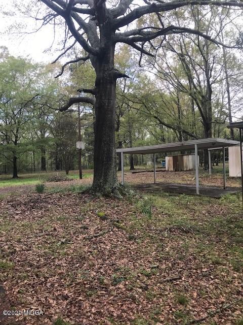 0 Josey Road Forsyth, GA 31029 - Photo 2 of 3 IMG_4339