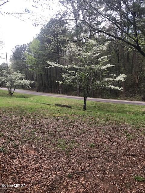 0 Josey Road Forsyth, GA 31029 - Photo 3 of 3 IMG_4340