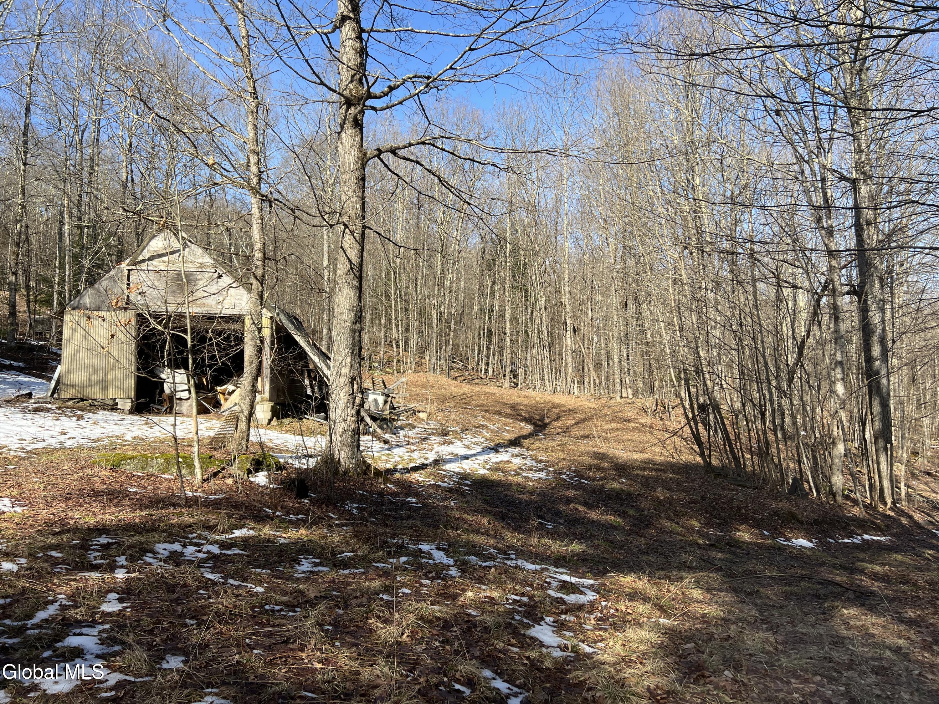 536 Bates Forest Road Conesville, NY 12076 - Photo 7 of 37 7) 72553-6a22a1904459f