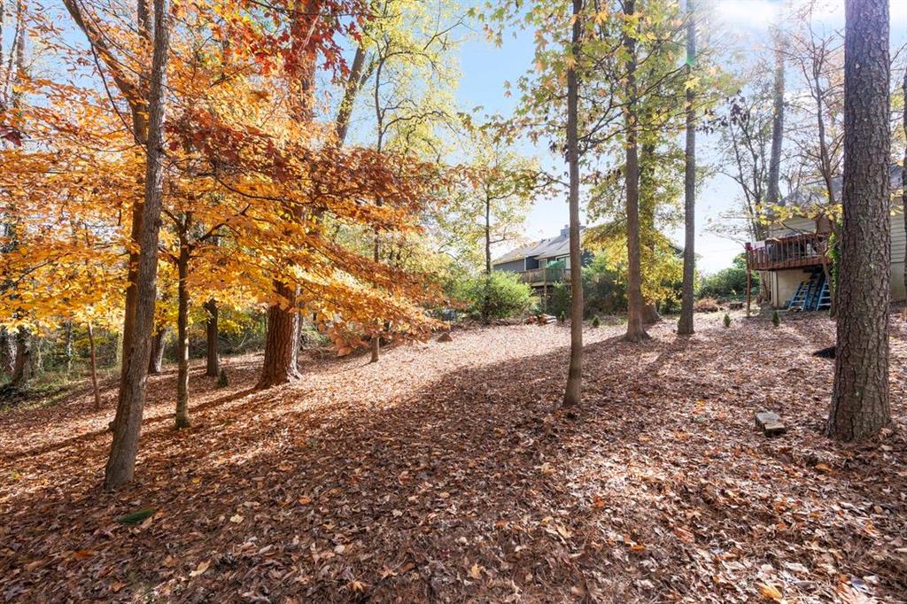 1213 Hanover Place Alpharetta, GA 30009 - Photo 25 of 25 a view of a forest filled with trees