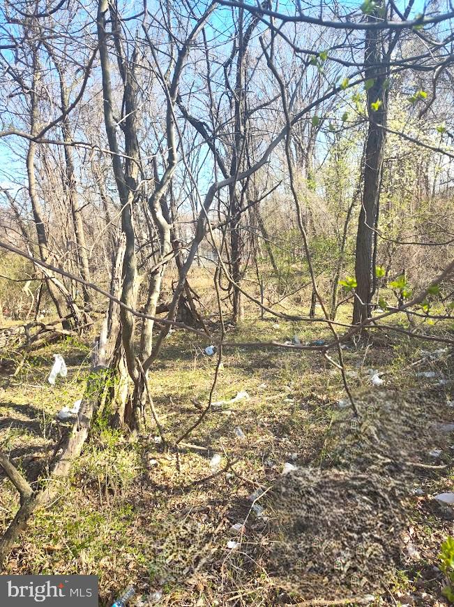 St Barnabas Road Oxon Hill, MD 20745 - Photo 6 of 6