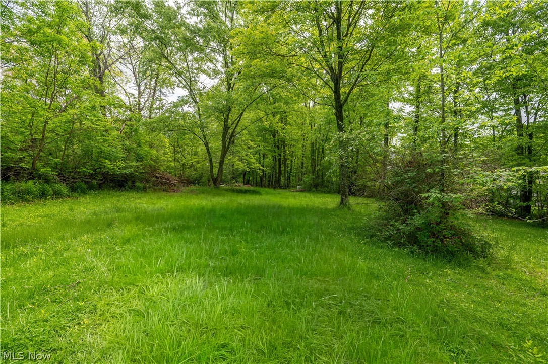 6665 Clingan Road Youngstown, OH 44514 - Photo 9 of 50