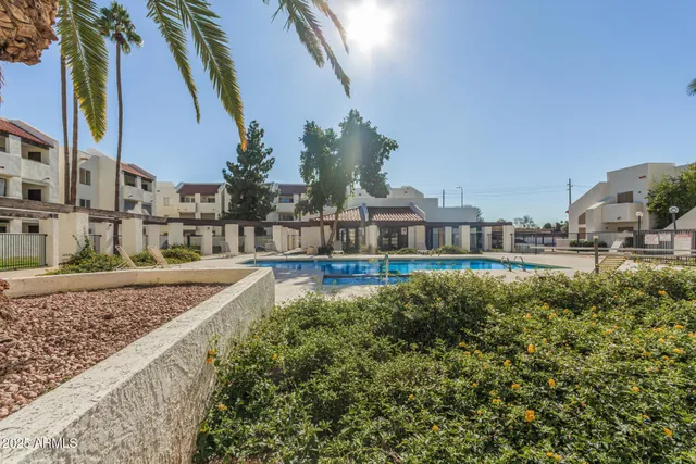 a view of a swimming pool with a lawn chairs under palm trees