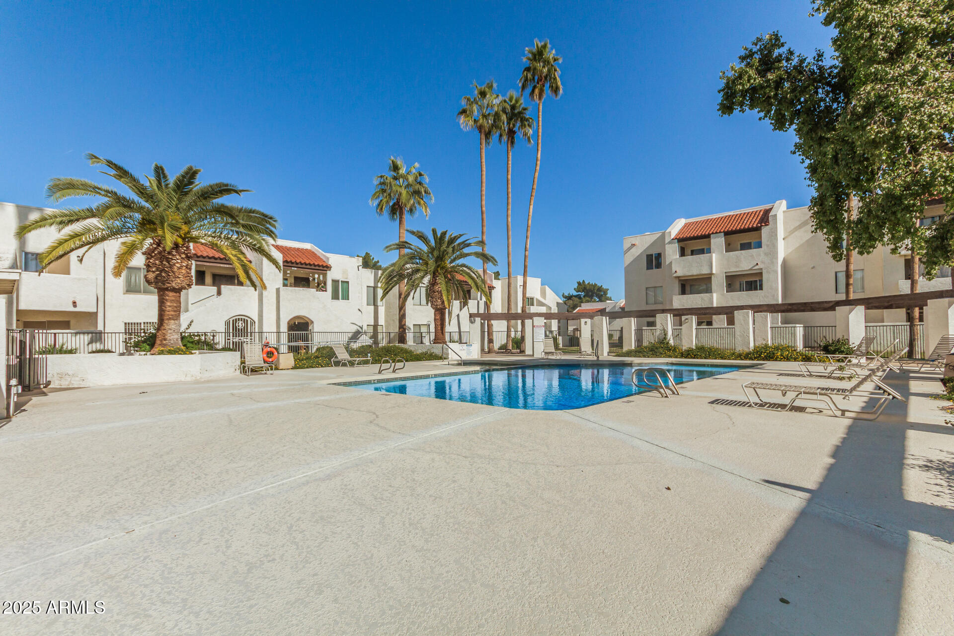 4730 West Northern Avenue, Unit 1087 Glendale, AZ 85301 - Photo 33 of 34 a view of a swimming pool with a lawn chairs under palm trees