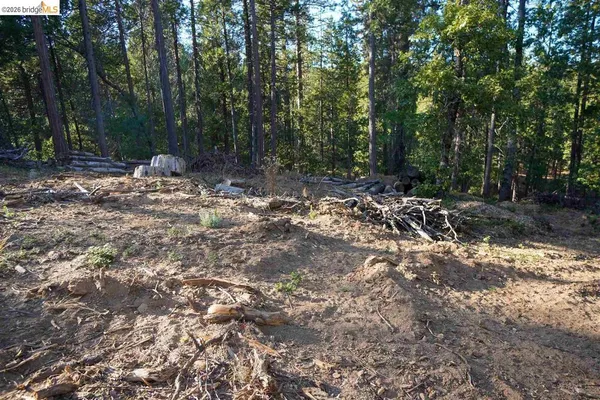 $59,500 | 169 Canyon View Drive, Murphys, CA 95247