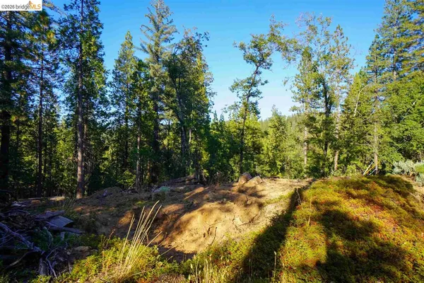 $59,500 | 169 Canyon View Drive, Murphys, CA 95247