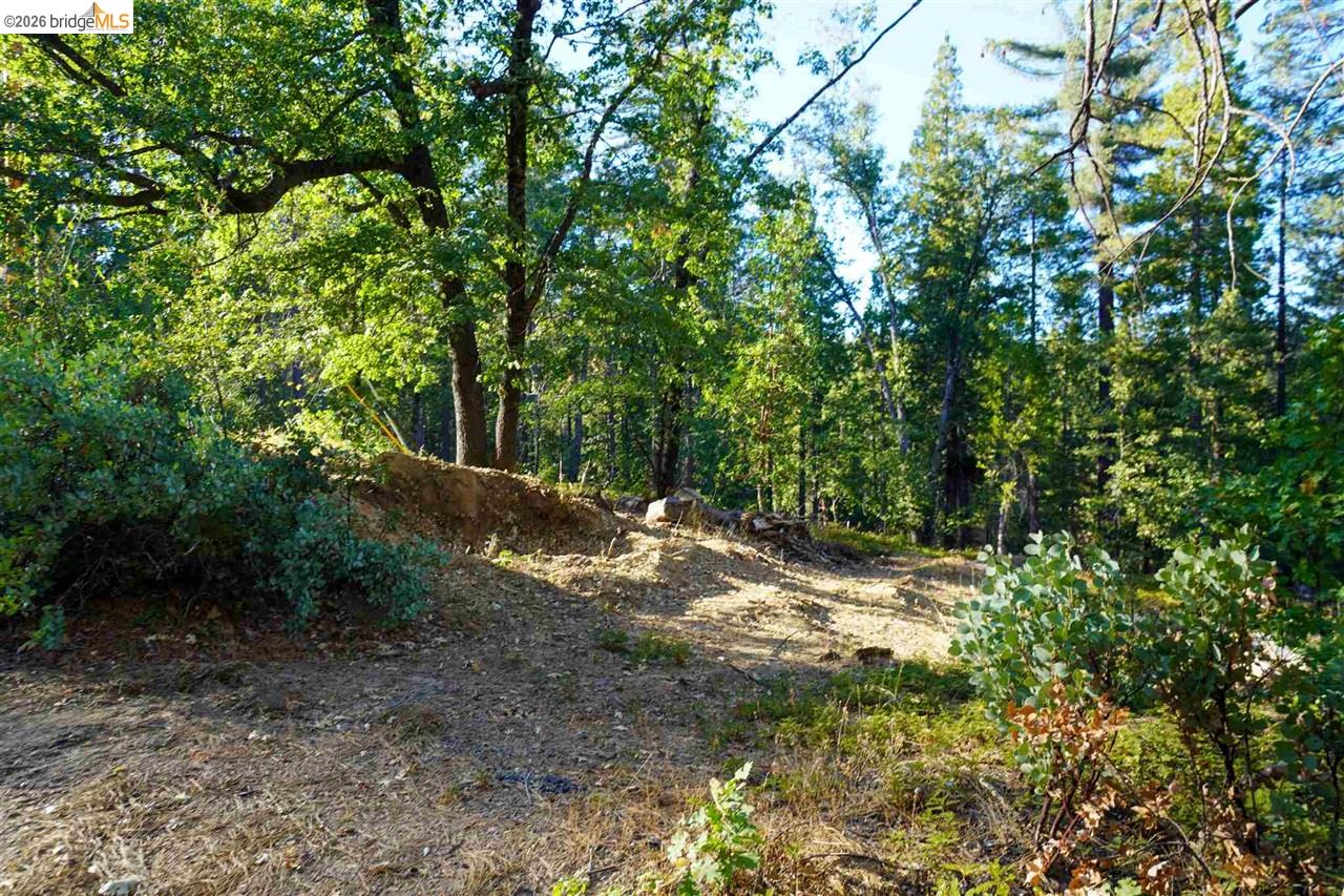 169 Canyon View Drive Murphys, CA 95247 - Photo 6 of 10