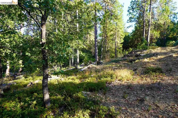 $59,500 | 169 Canyon View Drive, Murphys, CA 95247