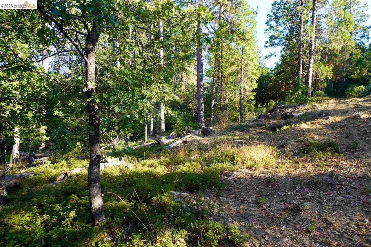 169 Canyon View Drive Murphys, CA 95247 - Photo 7 of 10