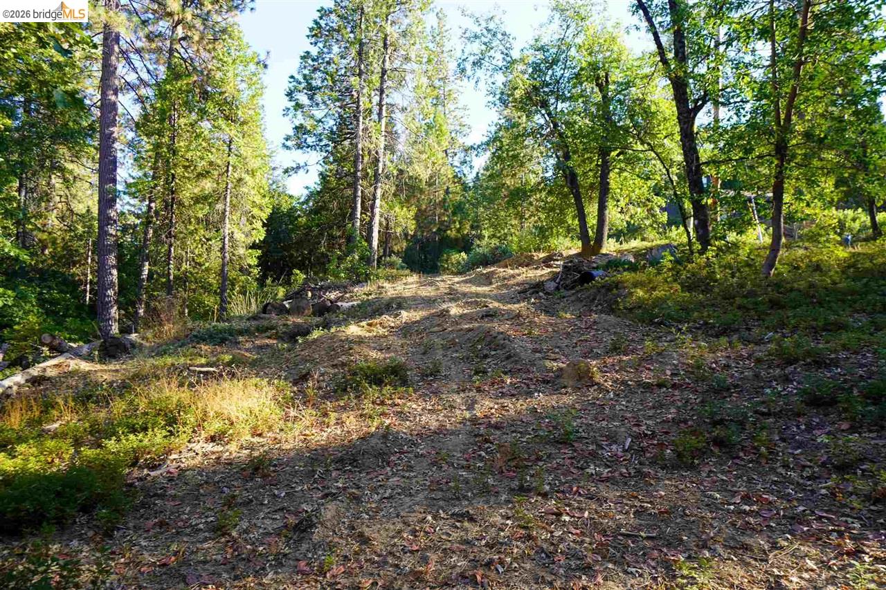 169 Canyon View Drive Murphys, CA 95247 - Photo 8 of 10