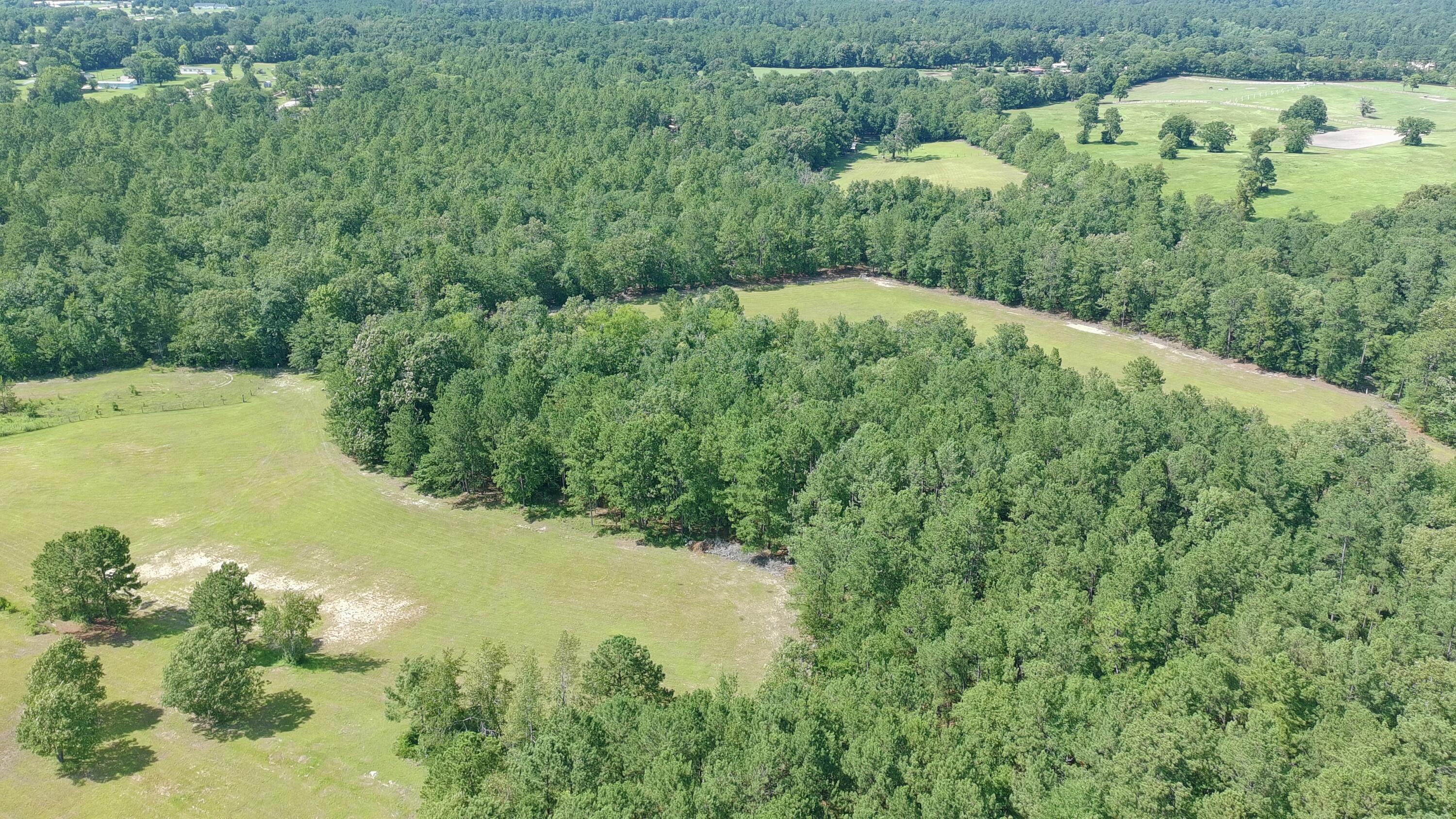 41-acres Whiskey Road Aiken, SC 29803 - Photo 26 of 44