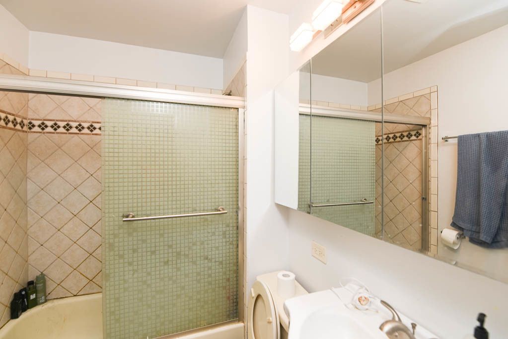 3222 North Racine Avenue, Unit 1 Chicago, IL 60657 - Photo 19 of 20