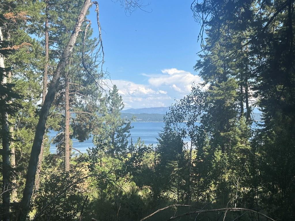 38 Burnt Wagon Trail Cascade, ID 83611 - Photo 1 of 18 Main View