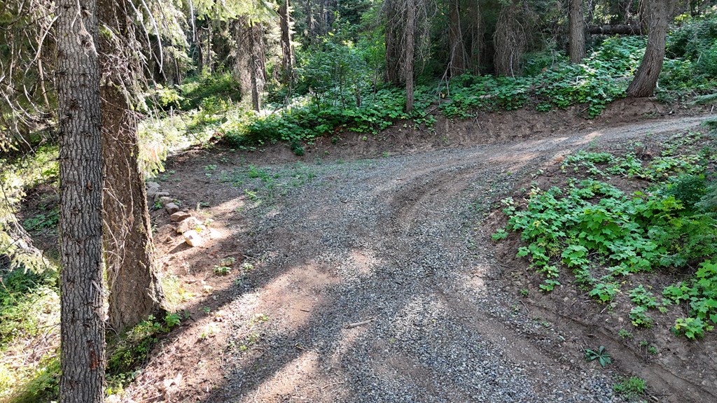 38 Burnt Wagon Trail Cascade, ID 83611 - Photo 15 of 18