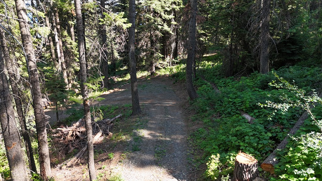 38 Burnt Wagon Trail Cascade, ID 83611 - Photo 17 of 18