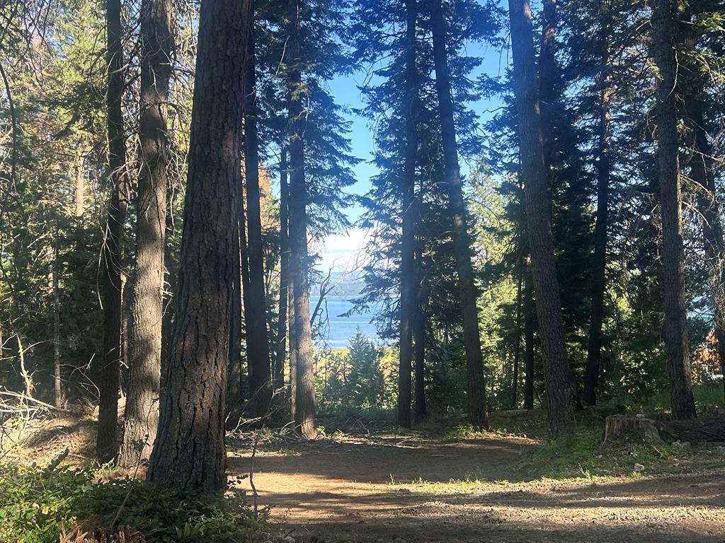 38 Burnt Wagon Trail Cascade, ID 83611 - Photo 2 of 18