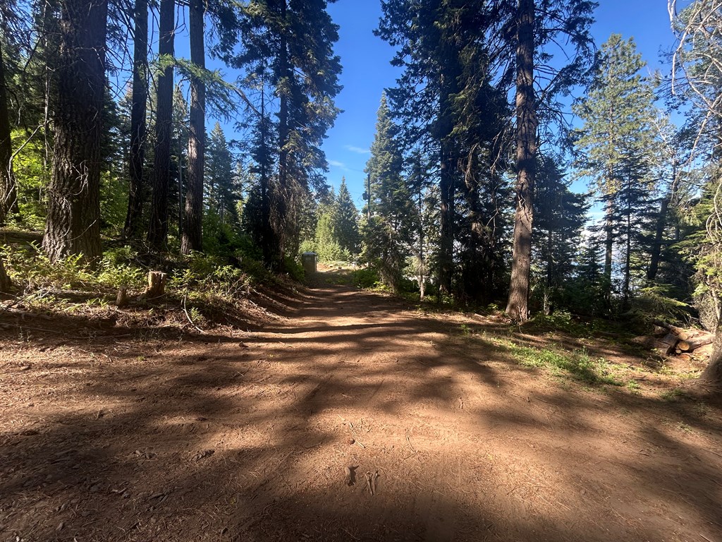 38 Burnt Wagon Trail Cascade, ID 83611 - Photo 3 of 18