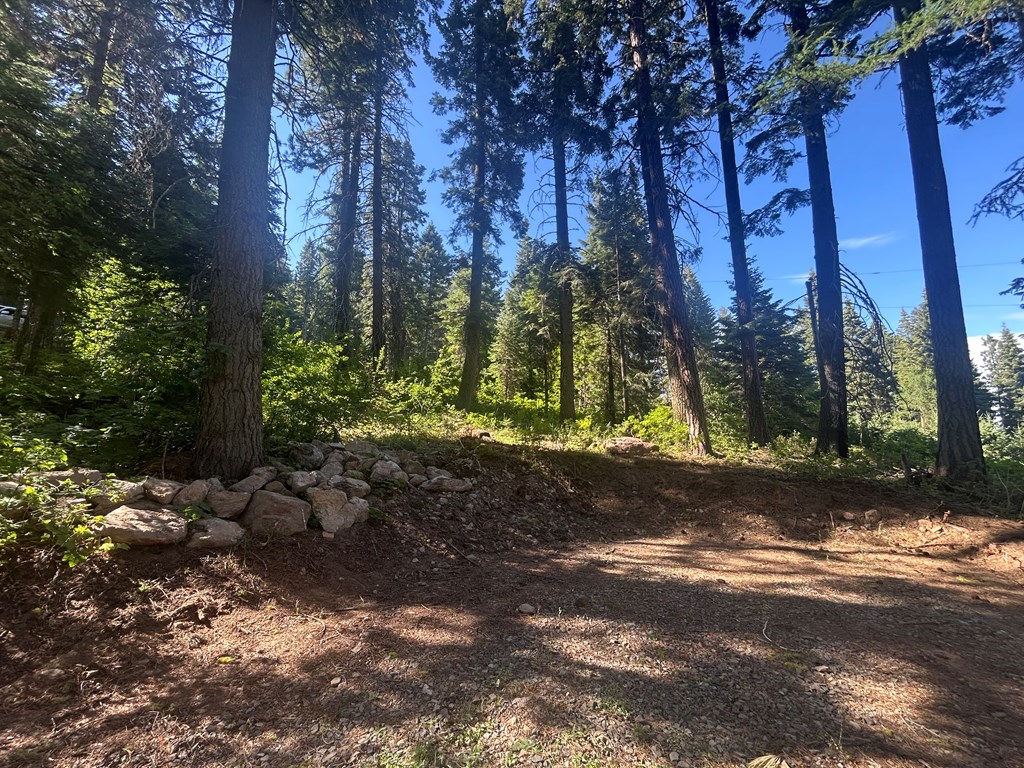 38 Burnt Wagon Trail Cascade, ID 83611 - Photo 4 of 18