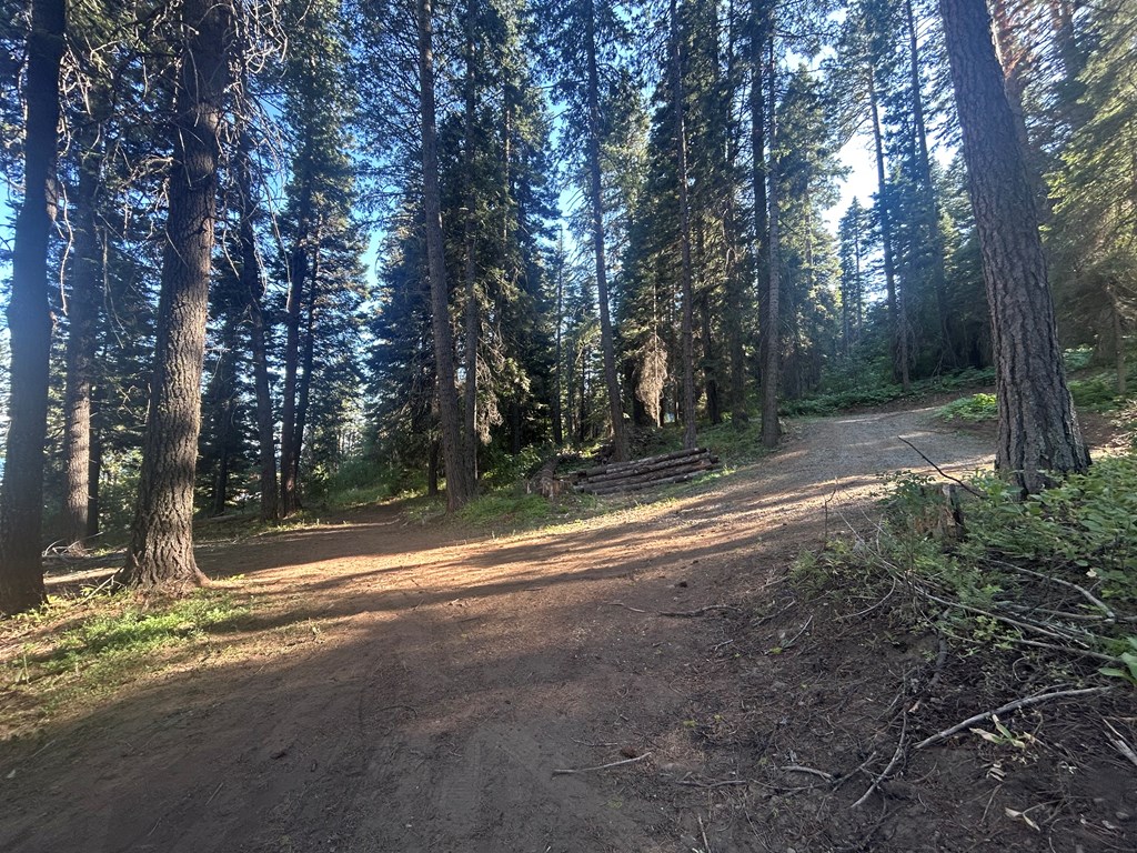 38 Burnt Wagon Trail Cascade, ID 83611 - Photo 5 of 18