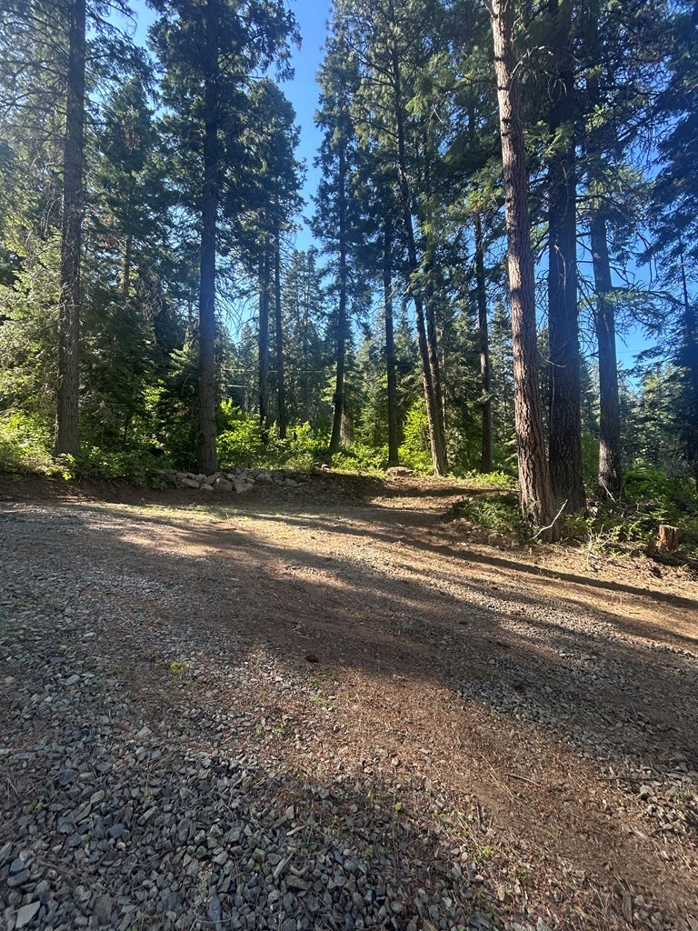 38 Burnt Wagon Trail Cascade, ID 83611 - Photo 6 of 18