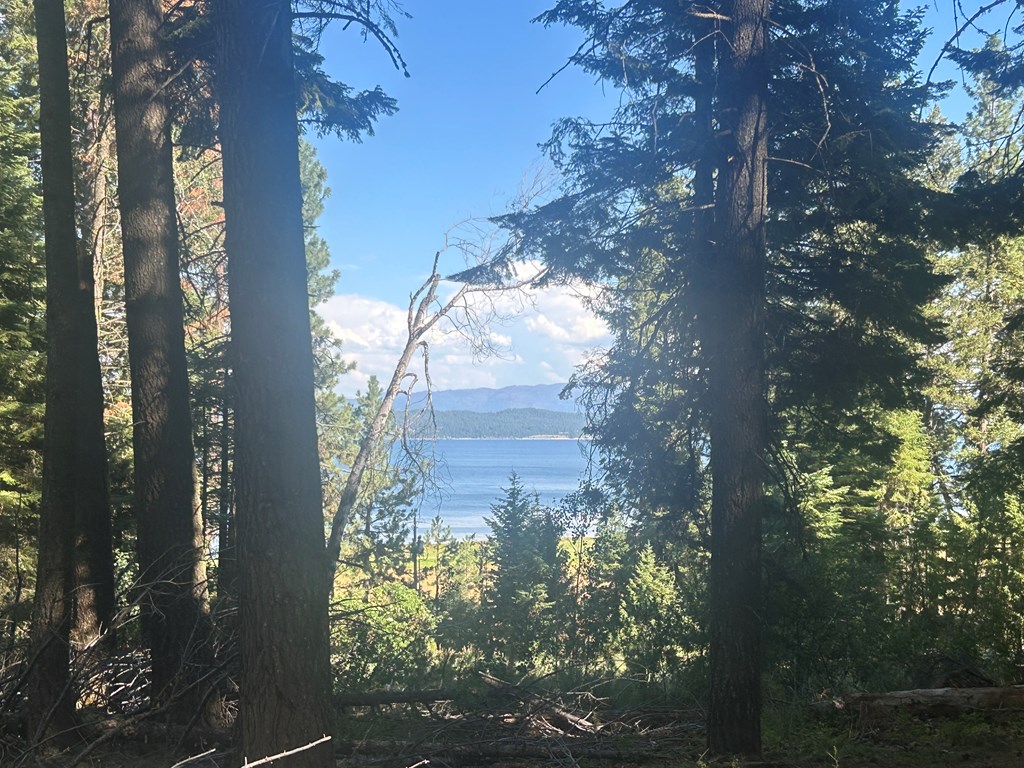 38 Burnt Wagon Trail Cascade, ID 83611 - Photo 7 of 18