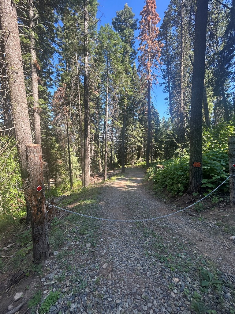 38 Burnt Wagon Trail Cascade, ID 83611 - Photo 9 of 18