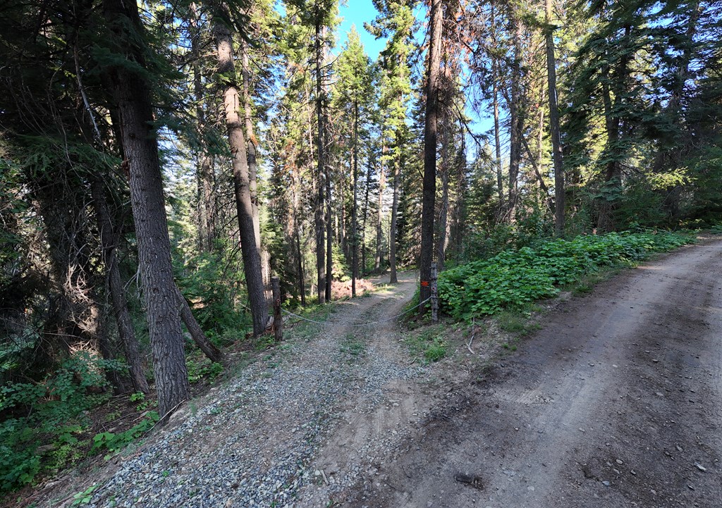 38 Burnt Wagon Trail Cascade, ID 83611 - Photo 10 of 18