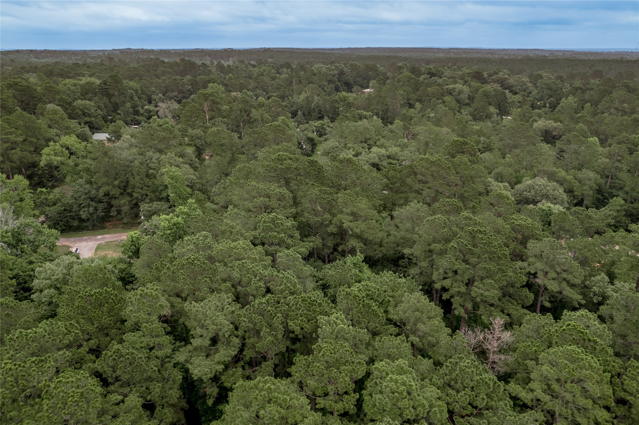 Lot 57 Post Oak Circle Trinity, TX 75862 - Photo 26 of 29
