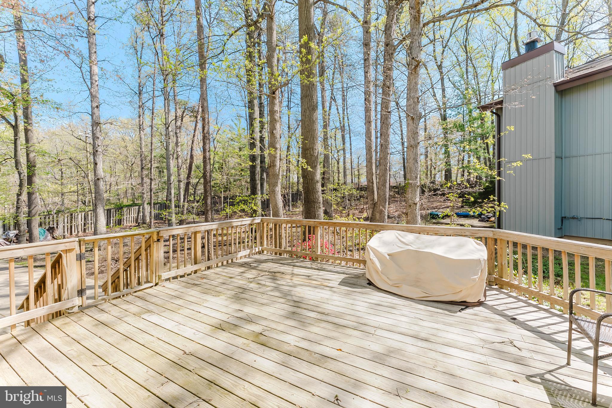 5915 Lovejoy Court Springfield, VA 22152 - Photo 24 of 55