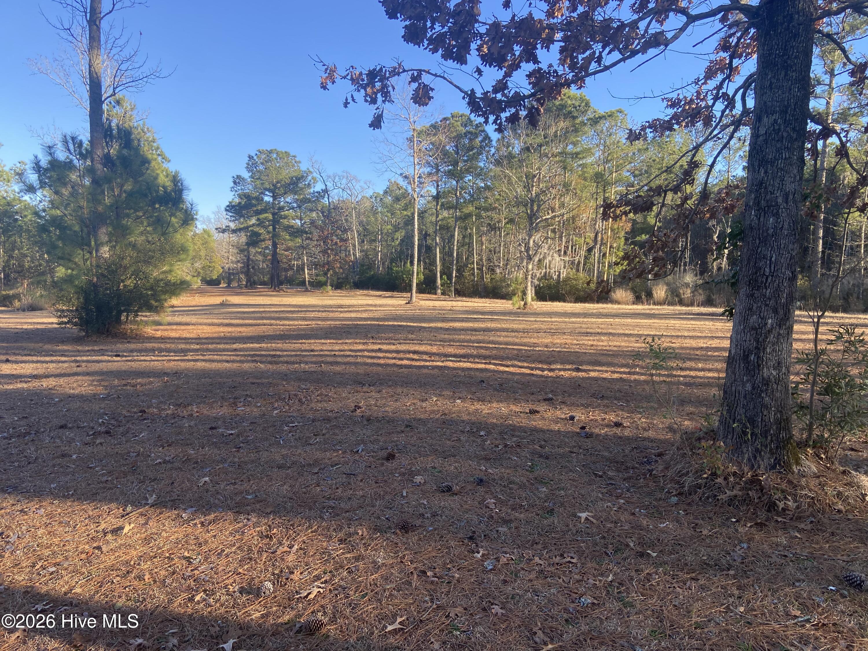 10 Topping Road Belhaven, NC 27810 - Photo 11 of 28 IMG_4009